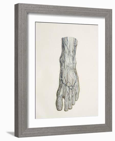 Nerves of the Foot, 1844 Artwork-Science Photo Library-Framed Photographic Print