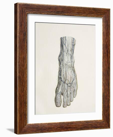 Nerves of the Foot, 1844 Artwork-Science Photo Library-Framed Photographic Print