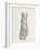 Nerves of the Foot, 1844 Artwork-Science Photo Library-Framed Photographic Print