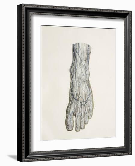 Nerves of the Foot, 1844 Artwork-Science Photo Library-Framed Photographic Print