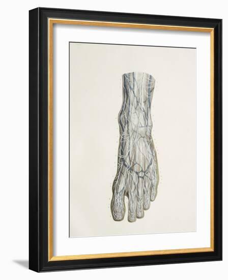 Nerves of the Foot, 1844 Artwork-Science Photo Library-Framed Photographic Print