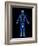 Nervous System, Artwork-Roger Harris-Framed Photographic Print