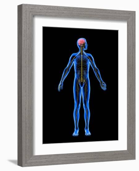 Nervous System, Artwork-Roger Harris-Framed Photographic Print