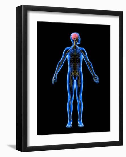 Nervous System, Artwork-Roger Harris-Framed Photographic Print