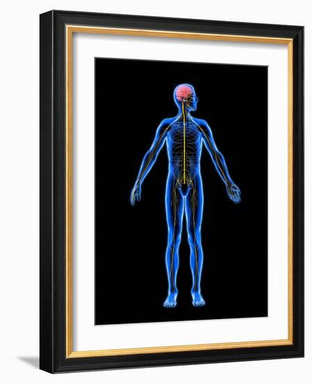 Nervous System, Artwork-Roger Harris-Framed Photographic Print