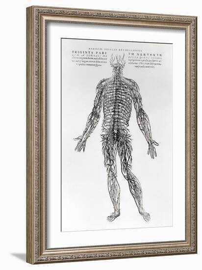 Nervous System-Andreas Vesalius-Framed Giclee Print