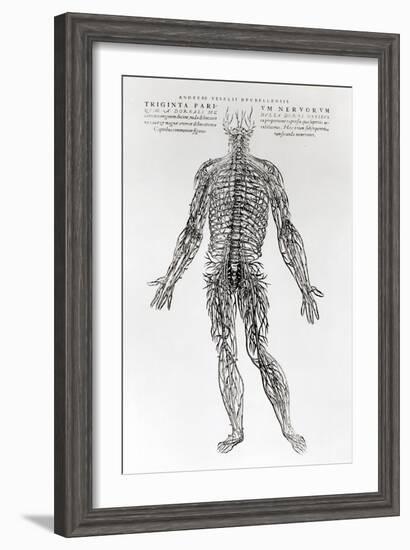 Nervous System-Andreas Vesalius-Framed Giclee Print