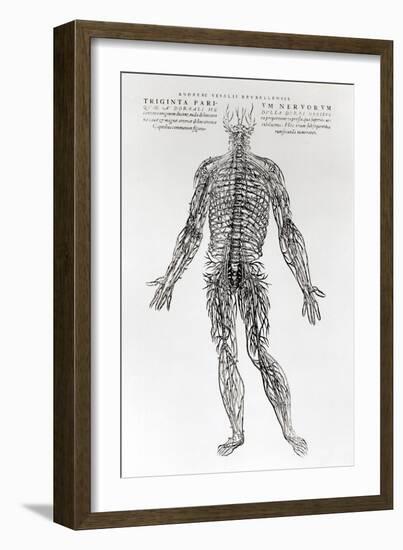 Nervous System-Andreas Vesalius-Framed Giclee Print