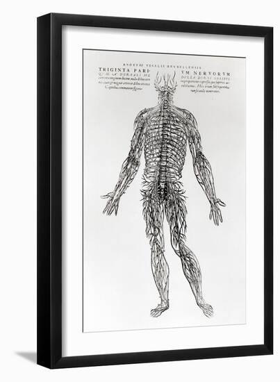 Nervous System-Andreas Vesalius-Framed Giclee Print