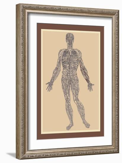 Nervous System-Andreas Vesalius-Framed Art Print