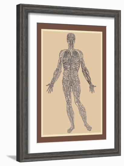 Nervous System-Andreas Vesalius-Framed Art Print