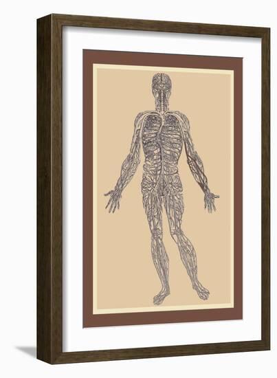 Nervous System-Andreas Vesalius-Framed Art Print