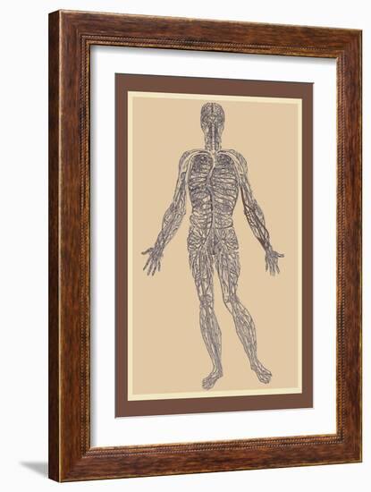 Nervous System-Andreas Vesalius-Framed Art Print