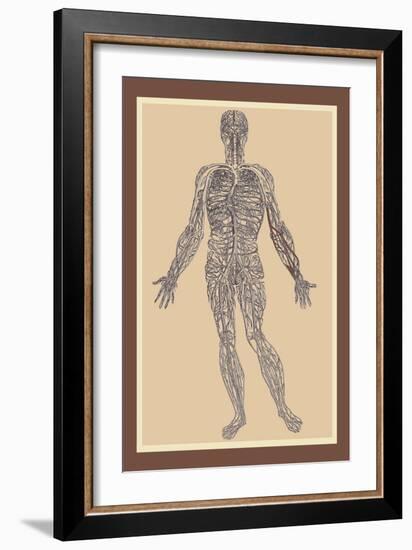 Nervous System-Andreas Vesalius-Framed Art Print