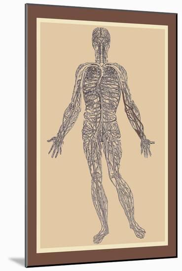 Nervous System-Andreas Vesalius-Mounted Art Print