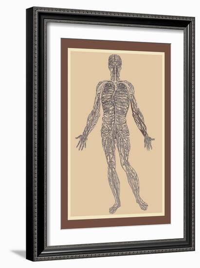 Nervous System-Andreas Vesalius-Framed Art Print