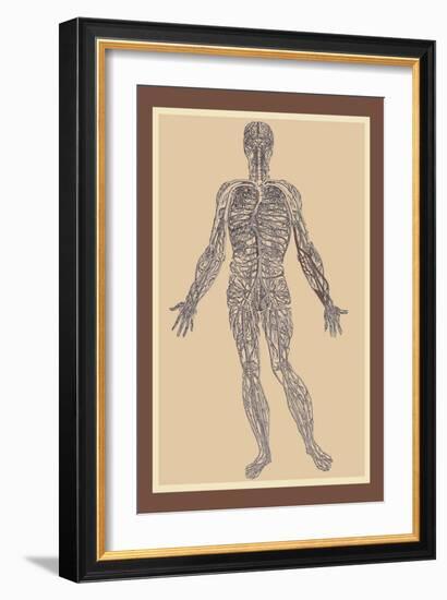 Nervous System-Andreas Vesalius-Framed Art Print