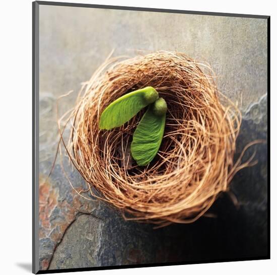 Nest 2-Glen and Gayle Wans-Mounted Giclee Print