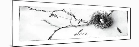 Nest and Branch II Love-Debra Van Swearingen-Mounted Art Print
