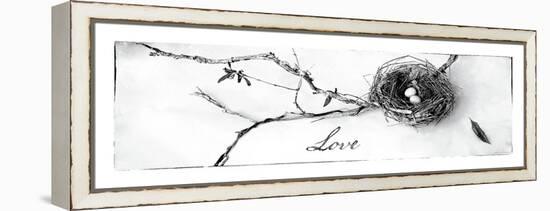 Nest and Branch II Love-Debra Van Swearingen-Framed Stretched Canvas
