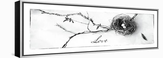 Nest and Branch II Love-Debra Van Swearingen-Framed Stretched Canvas