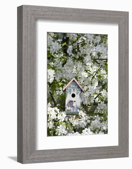 Nest Box in Blooming Sugartyme Crabapple Tree, Marion, Illinois, Usa-Richard ans Susan Day-Framed Photographic Print