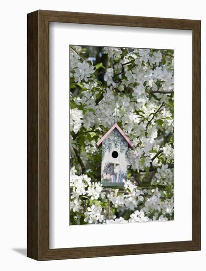 Nest Box in Blooming Sugartyme Crabapple Tree, Marion, Illinois, Usa-Richard ans Susan Day-Framed Photographic Print