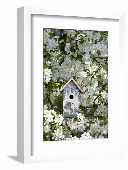 Nest Box in Blooming Sugartyme Crabapple Tree, Marion, Illinois, Usa-Richard ans Susan Day-Framed Photographic Print