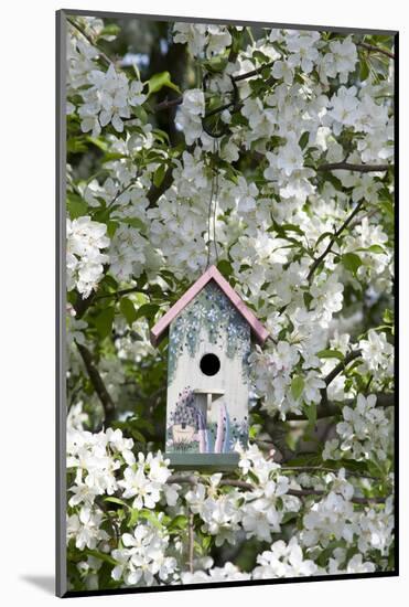 Nest Box in Blooming Sugartyme Crabapple Tree, Marion, Illinois, Usa-Richard ans Susan Day-Mounted Photographic Print