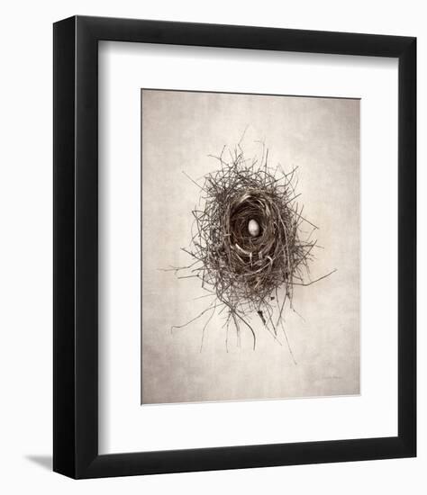 Nest I-Debra Van Swearingen-Framed Photo