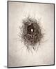 Nest I-Debra Van Swearingen-Mounted Photo