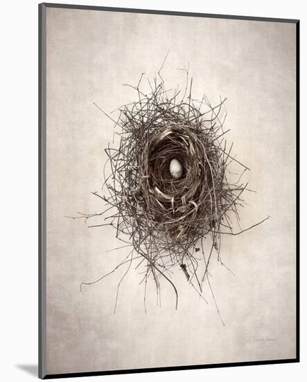 Nest I-Debra Van Swearingen-Mounted Photo