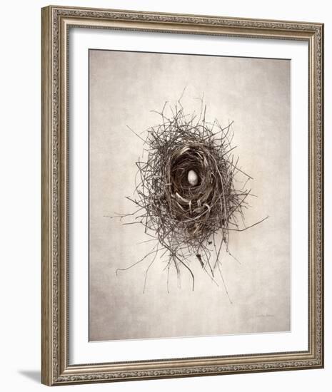 Nest I-Debra Van Swearingen-Framed Photo