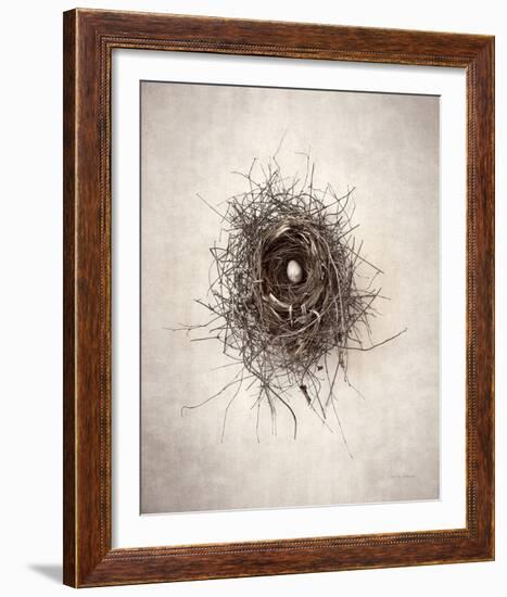 Nest I-Debra Van Swearingen-Framed Photo