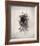 Nest II-Debra Van Swearingen-Framed Photo