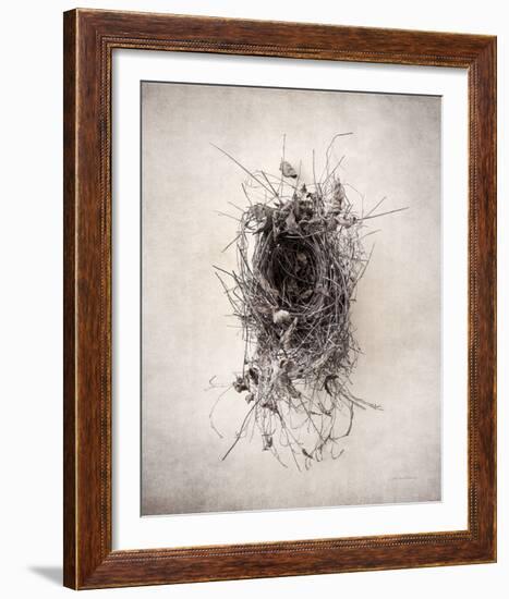 Nest II-Debra Van Swearingen-Framed Photo