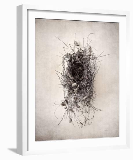 Nest II-Debra Van Swearingen-Framed Photo