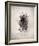 Nest II-Debra Van Swearingen-Framed Photo