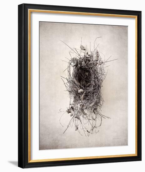 Nest II-Debra Van Swearingen-Framed Photo