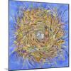 Nest III-Vortex-Sharon Pitts-Mounted Giclee Print