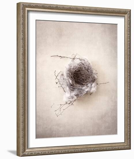 Nest III-Debra Van Swearingen-Framed Photo