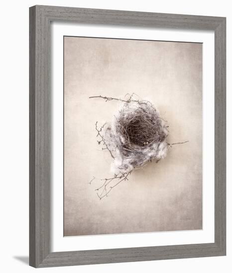 Nest III-Debra Van Swearingen-Framed Photo