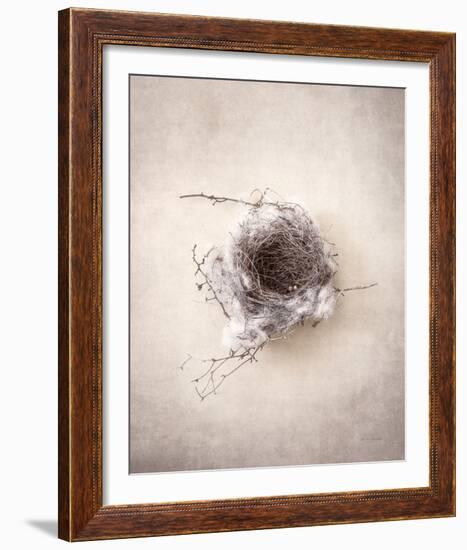 Nest III-Debra Van Swearingen-Framed Photo