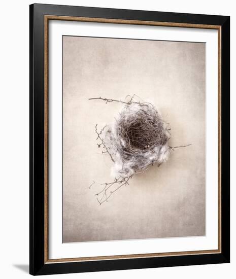 Nest III-Debra Van Swearingen-Framed Photo