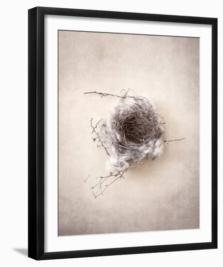 Nest III-Debra Van Swearingen-Framed Photo