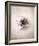 Nest III-Debra Van Swearingen-Framed Photo