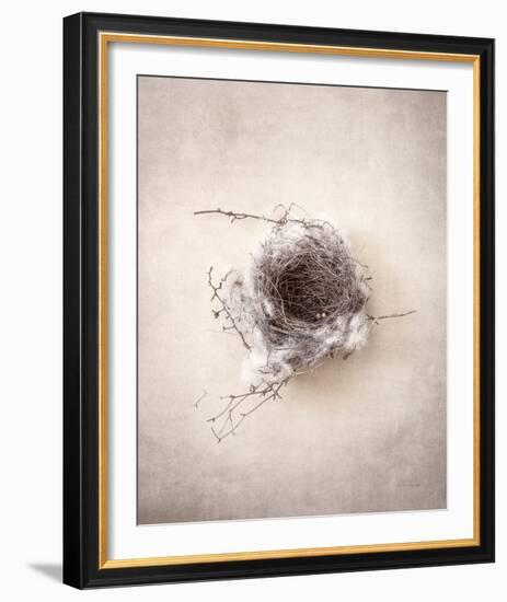 Nest III-Debra Van Swearingen-Framed Photo