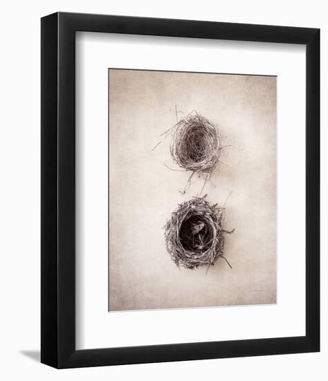 Nest IV-Debra Van Swearingen-Framed Photo