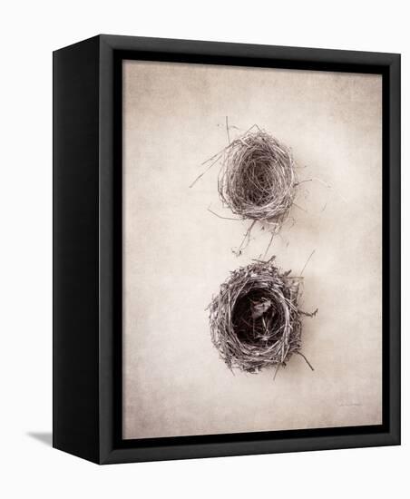 Nest IV-Debra Van Swearingen-Framed Stretched Canvas