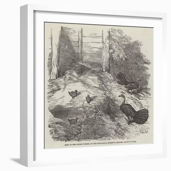 Nest of the Brush Turkey, in the Zoological Society's Gardens, Regent'S-Park-Harrison William Weir-Framed Giclee Print